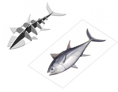tuna3D.jpg tuna3D.jpg