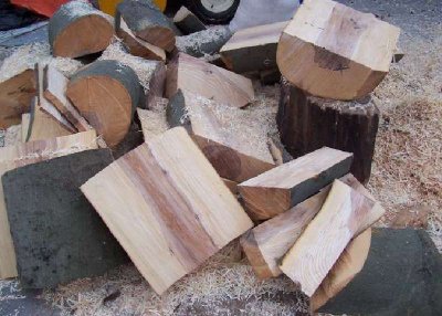 American Beech blanks.jpg