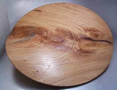 3 White Elm.jpg 3 White Elm.jpg
