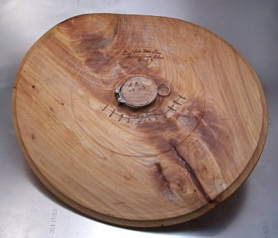 4 White Elm bottom.jpg 4 White Elm bottom.jpg