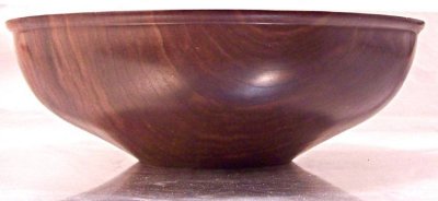 Black Walnut profile.jpg Black Walnut profile.jpg