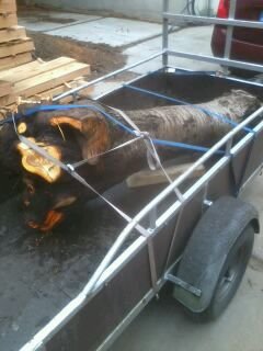IMG-20141106-WA0004.jpg IMG-20141106-WA0004.jpg