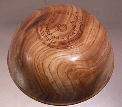 Siberian Elm 4.jpg