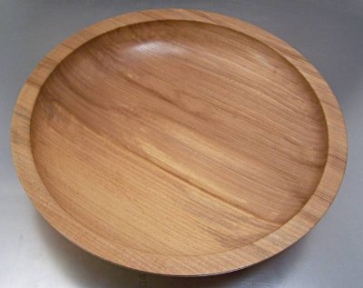 American Elm 1.jpg American Elm 1.jpg