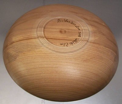 American Elm 3.jpg American Elm 3.jpg