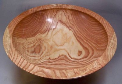 Honey Locust 1.jpg Honey Locust 1.jpg