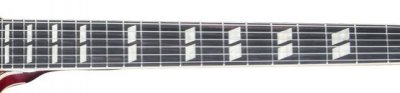 inlay.jpg inlay.jpg