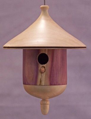 Bird house 7.jpg