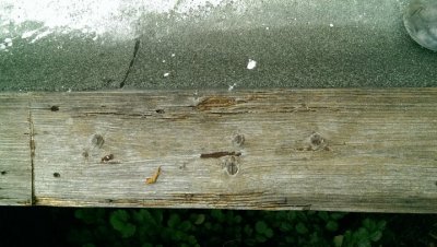 IMAG0989 (1).jpg IMAG0989 (1).jpg