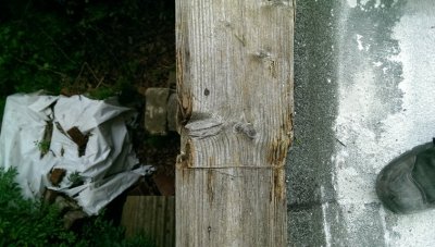 IMAG0986 (1).jpg IMAG0986 (1).jpg