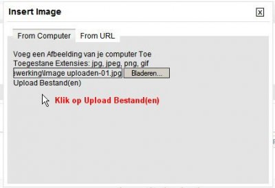 06-klik op Upload Bestand(en).jpg 06-klik op Upload Bestand(en).jpg
