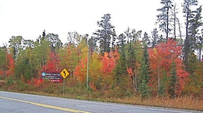 fall color.jpg