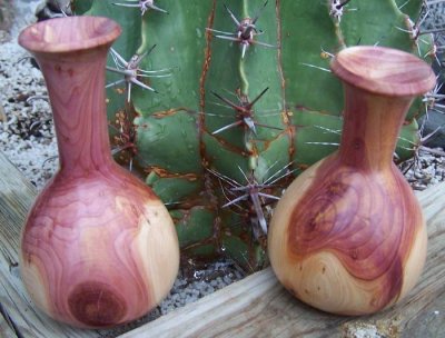 Juniper weed pots.jpg