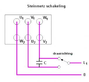 steinmetz.jpg