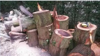 hout4.jpg