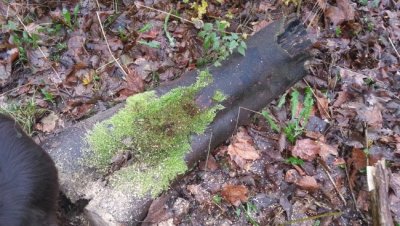 20151207_121421.jpg