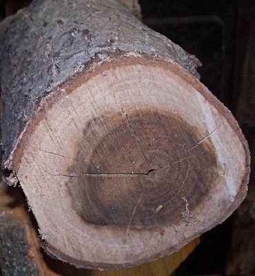 Rond hout splijt.jpg