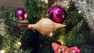 20151221_221337.jpg 20151221_221337.jpg