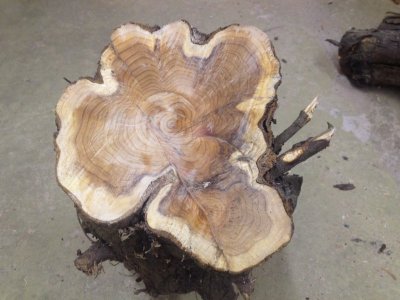 Hout 1.jpg Hout 1.jpg