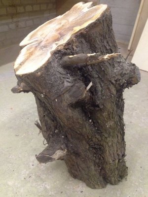 Hout 2.jpg Hout 2.jpg