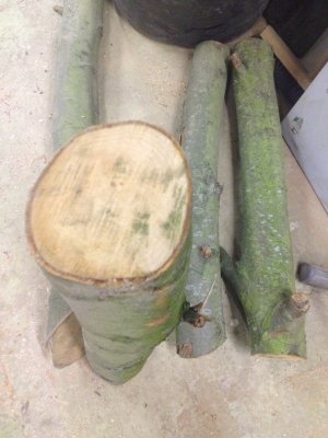 Hout 5.jpg Hout 5.jpg