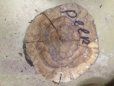 Hout 3.jpg Hout 3.jpg
