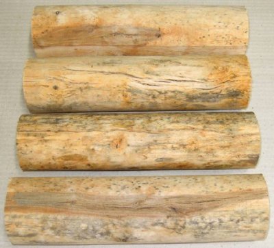 Masur Birch logs.jpg