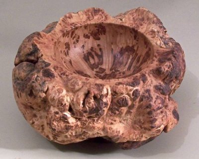 Maple burl.jpg