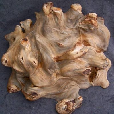 Willow burl.jpg