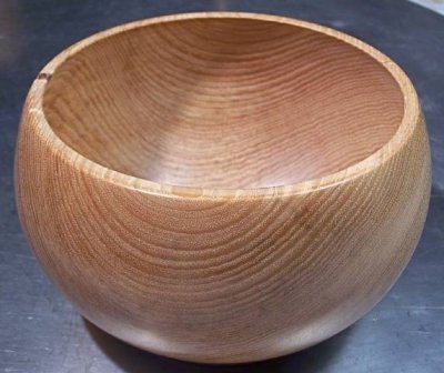 Bitternut Hickory.jpg Bitternut Hickory.jpg