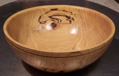Spalted American Elm.jpg Spalted American Elm.jpg