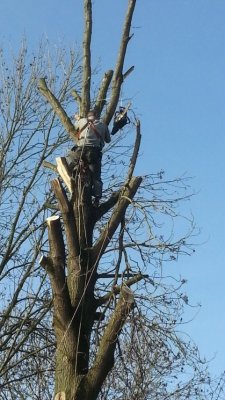 20160123_125322.jpg