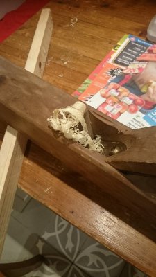 Schaaf_detail.jpg Schaaf_detail.jpg