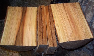 Black Cherry 2.jpg Black Cherry 2.jpg