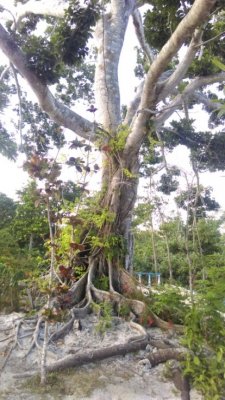 IMAG0959.jpg
