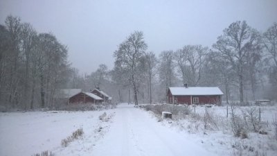 WP_20160306_17_49_25_Pro_LI.jpg