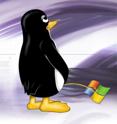 tRCvB5L_tux_windows.jpg