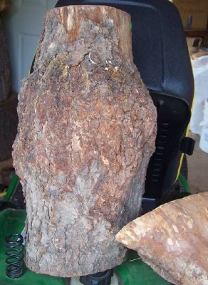 Black Cherry burl.jpg