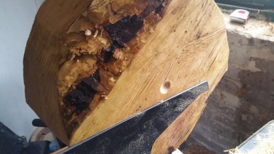 20160510_133133.jpg 20160510_133133.jpg
