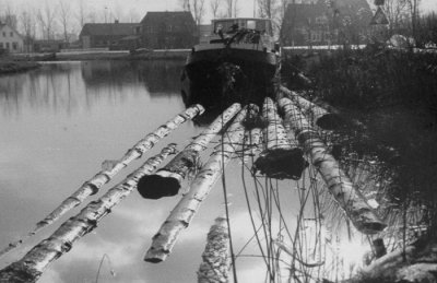 gewaterde stammen.jpg gewaterde stammen.jpg