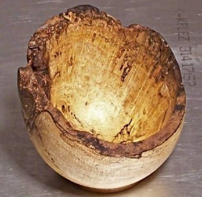 Ailanthus burl.jpg