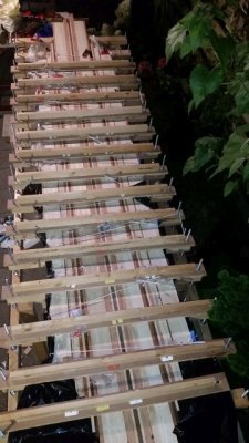 20160907_224801.jpg