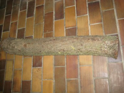 peren .jpg peren .jpg