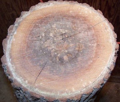 sealed wood.jpg