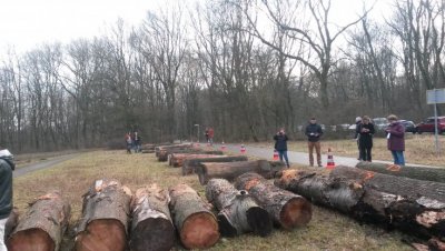 20161214_131952.jpg 20161214_131952.jpg