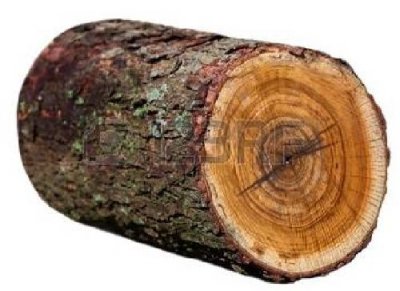 Redbud log.jpg