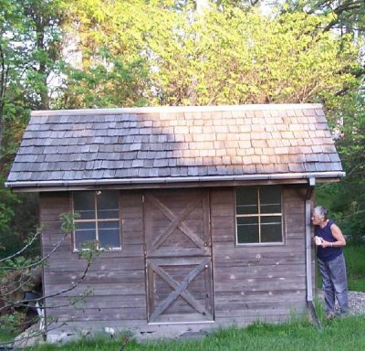 Cabin with Redbud .jpg