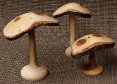 Mushrooms.jpg