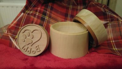 IMG-20161128-WA0007.jpg IMG-20161128-WA0007.jpg
