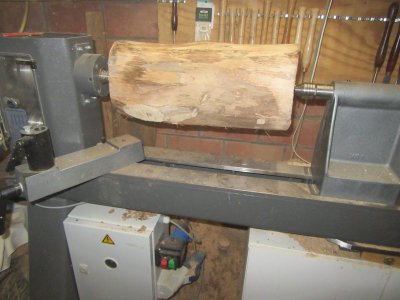 IMG_5132.jpg IMG_5132.jpg